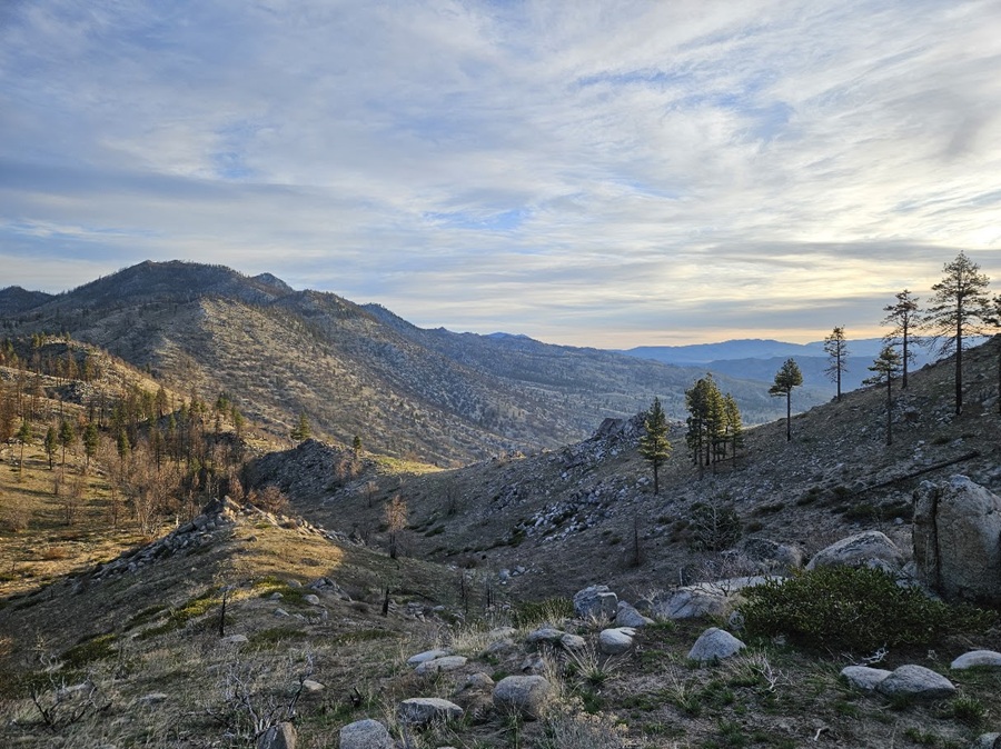 A landscape photo from ground surveys in the Diamond Pack